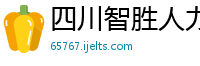 四川智胜人力资源服务有限公司